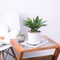 Succulents Plants Artificial Aloe Plant, 12.5Inch Large Faux Succulents Unpotted, Premium Crafting DIY Greenery Decor for Indoor & Outdoor(Green)